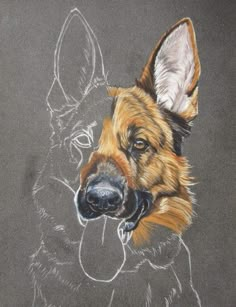 a drawing of a german shepherd dog