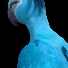 a blue bird with its mouth open on a black background