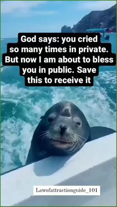 an image of a seal in the water saying god says you tried so many times in private but now i am about to be less you in public save this to receive it