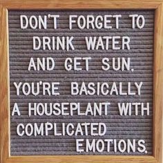 a sign that says don't forget to drink water and get sun, you're basically a houseplant with complicated emotions