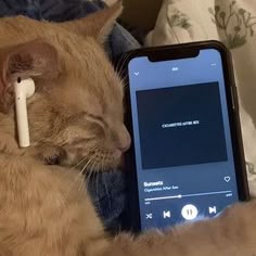 an orange cat laying on top of a bed next to a cell phone with ear buds in it's ears