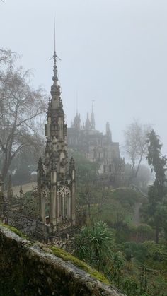 an old castle in the middle of a forest on a foggy, overcast day