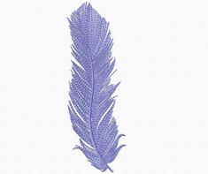 a blue feather on a white background