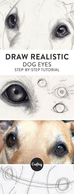 the front and back cover of a drawing book with an image of a dog's eyes