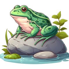 a green frog sitting on top of a rock