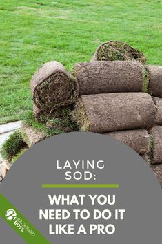 a pile of grass with the words laying sod what you need to do it like a pro