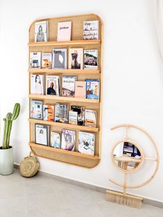 a book shelf with books on it next to a potted cacti plant