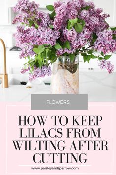 lilacs in a vase with the words flowers how to keep lilacs from wilting after cutting