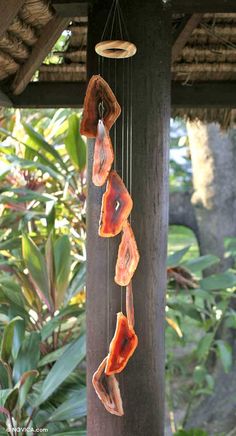 three pieces of bacon hanging from a wooden pole in front of some trees and plants