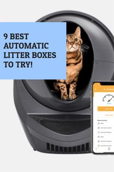 a cat sitting inside of a litter box with the text 9 best automatic litter boxes to try