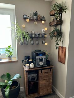 a coffee bar with potted plants on the wall