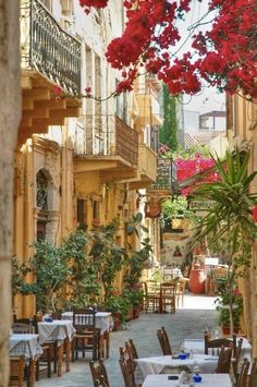 an alleyway with tables, chairs and potted plants on either side of the street