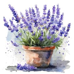 a potted plant with purple flowers in it