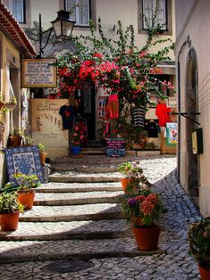 a cobblestone street with potted plants and flowers on the steps in front