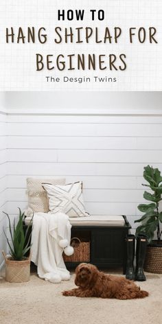 a brown dog laying on top of a rug next to a white wall with the words how to hang shiplap for beginners