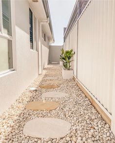 there are several stepping stones on the ground in front of a building with a potted plant next to it