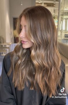 Rambut Brunette, Honey Brown Hair, Brown Hair Looks, Dreamy Aesthetic, Brown Hair Inspo, Brunette Hair With Highlights, Hair 2024, Brown Hair Balayage, Blonde Hair Inspiration