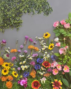 colorful flowers are growing on the side of a wall in front of green plants and foliage