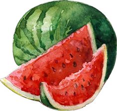 watermelon slices are cut in half and displayed on a white background royalty illustration