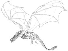 a black and white drawing of a dragon flying through the air with its wings spread