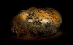 a rock covered in dirt and moss on a black background