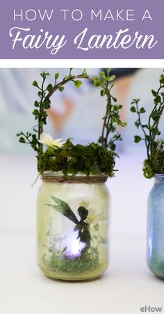 two vases with plants in them sitting on a table