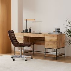 an office with a desk and chair in front of a potted plant on the floor