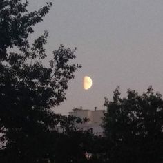 the moon is setting behind some trees