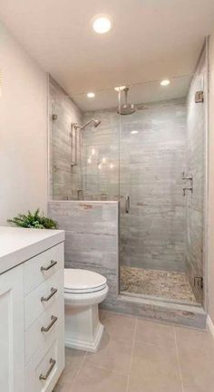 a bathroom with a walk in shower next to a white toilet and counter top sink