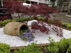 a garden with rocks and plants in it