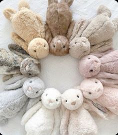 a group of stuffed animals arranged in a circle