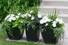 three black planters filled with white flowers sitting on the side of a stone step