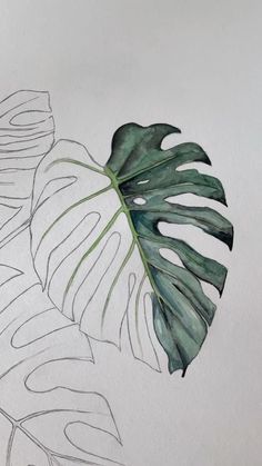 a drawing of a green leaf on white paper