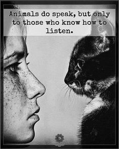 a woman looking at a cat with a thought bubble above it that says does human want a treat? hump yeah, you is a good human