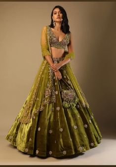 Green Lehenga Choli, Long Gown For Wedding, Velvet Lehenga, Kalki Fashion, Lehnga Dress, Green Lehenga, Choli Designs, Embroidered Velvet