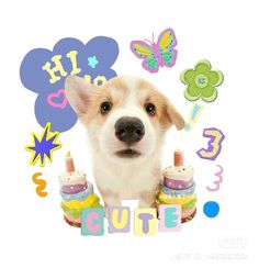 a dog is surrounded by birthday decorations and cakes for his little one's first birthday