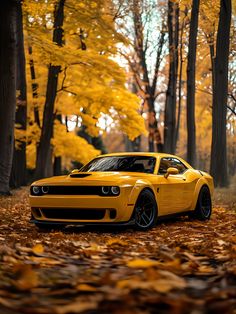 a yellow car is parked in the leaves