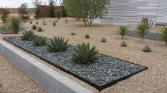 an outdoor garden with gravel, rocks and plants