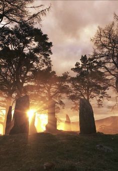 the sun shines through the trees at stonehenge