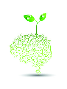 a green plant sprouts from the top of a brain