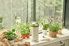 various plants are sitting on a window sill