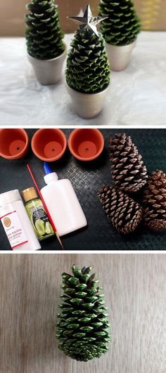 pine cones are sitting on the table next to some paint and glues for them