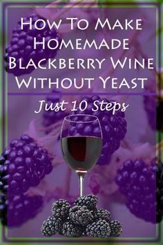 a glass of wine and some blackberries with the words how to make homemade blackberry wine without yeast