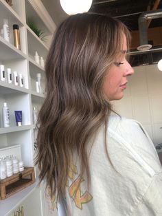 Going Light To Dark Hair, Brown Hair Minimal Highlights, Neutral Ashy Brunette, Brown Hair With Minimal Highlights, Shadow Root Balayage Dark Brown, Sandy Brown Hair With Highlights, Subtle Blonde Highlights In Brown Hair, Brown Hair Natural Highlights, Scandinavian Hairline Brunette