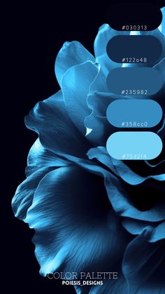 a blue rose is shown with the colors in it's petals and numbers on its petals