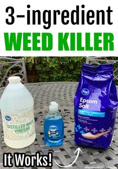 Diy Safe, Killing Weeds, Garden Remedies, Garden Weeds, Safe Water, Garden Yard Ideas, Yard Work, How To Make Diy, Lawn And Garden