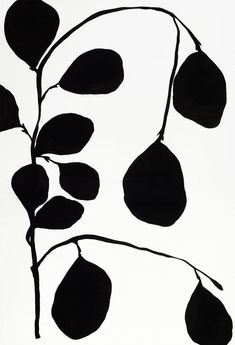 a black and white drawing of leaves on a branch