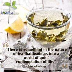 there is something in the nature of tea that leads us into a world of quiet consumption of life