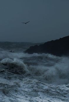 the bird is flying over the rough waves in the ocean on a gloomy day