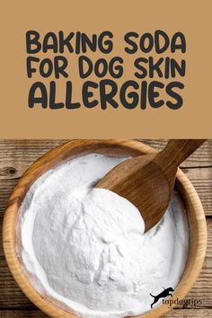 baking soda for dog skin allergies